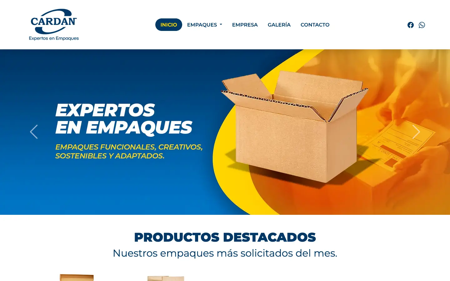 diseño y optimizacion de paginas web